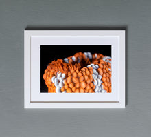 Charger l'image dans la galerie, Wanderer