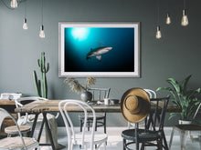 Charger l'image dans la galerie, Halo