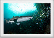 Load image into Gallery viewer, Whirlpool