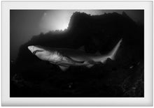 Charger l'image dans la galerie, Shiver