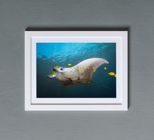 Cargar imagen en el visor de la galería, Confetti