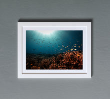 Charger l'image dans la galerie, Melissa's Garden