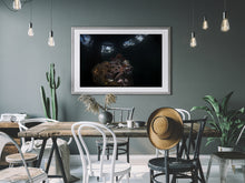 Charger l'image dans la galerie, Kraken's Window