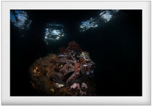 Charger l'image dans la galerie, Kraken's Window