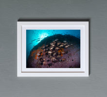 Load image into Gallery viewer, Old Wives Rock