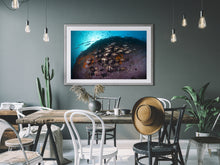 Load image into Gallery viewer, Old Wives Rock