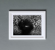 Charger l'image dans la galerie, Porthole