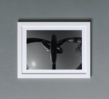 Charger l'image dans la galerie, Resilience