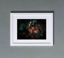 Charger l'image dans la galerie, The End