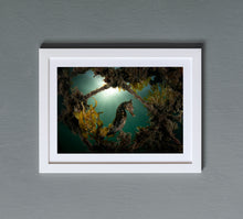 Cargar imagen en el visor de la galería, Dark Knight