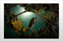 Cargar imagen en el visor de la galería, Dark Knight