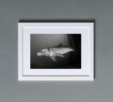 Cargar imagen en el visor de la galería, Cordelia