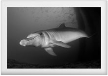 Cargar imagen en el visor de la galería, Cordelia