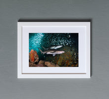 Charger l'image dans la galerie, Sistine Chapel