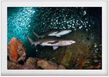 Charger l'image dans la galerie, Sistine Chapel