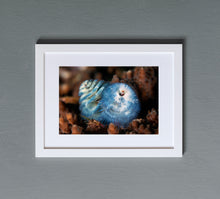 Charger l'image dans la galerie, Blossom