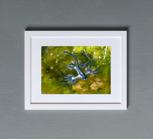 Charger l'image dans la galerie, Shades