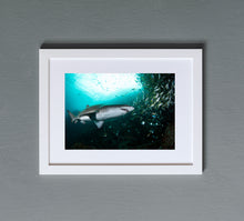 Load image into Gallery viewer, Whirlpool