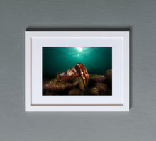 Charger l'image dans la galerie, King Cthulhu