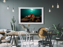 Charger l'image dans la galerie, King Cthulhu