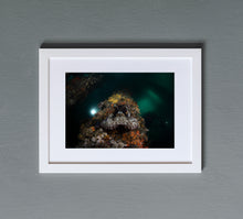 Load image into Gallery viewer, Invaders