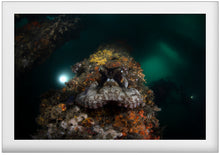 Load image into Gallery viewer, Invaders
