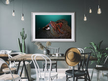 Charger l'image dans la galerie, Pharaoh