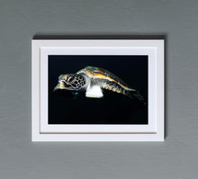 Charger l'image dans la galerie, Pilgrim Series 1