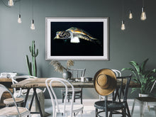 Charger l'image dans la galerie, Pilgrim Series 1