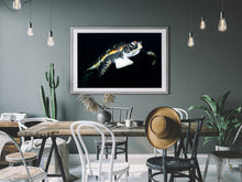 Charger l'image dans la galerie, Pilgrim Series 2