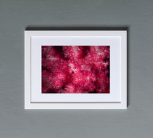 Charger l'image dans la galerie, Magnolia