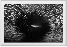 Charger l'image dans la galerie, Porthole