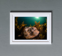 Charger l'image dans la galerie, Trespasser