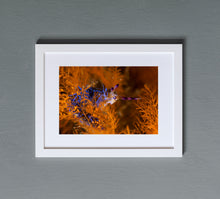 Charger l'image dans la galerie, Rose Amongst the thorns