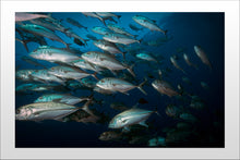 Charger l'image dans la galerie, Rush Hour