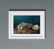 Cargar imagen en el visor de la galería, Aurora Borealis