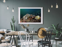 Cargar imagen en el visor de la galería, Aurora Borealis