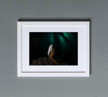 Charger l'image dans la galerie, Isolation