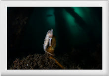 Charger l'image dans la galerie, Isolation