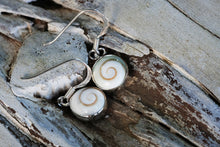 Cargar imagen en el visor de la galería, Ningaloo Operculum Shell Earrings