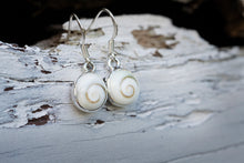 Cargar imagen en el visor de la galería, Ningaloo Operculum Shell Earrings