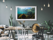 Charger l'image dans la galerie, Fern Gully