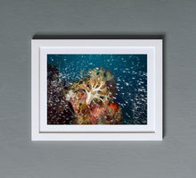 Load image into Gallery viewer, Sprinkler