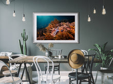 Charger l'image dans la galerie, Melissa's Star