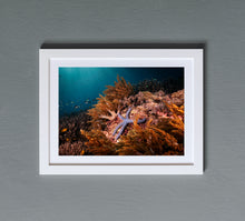 Charger l'image dans la galerie, Melissa's Star