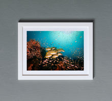 Carregar imagem no visualizador da galeria, Oriental Mayhem