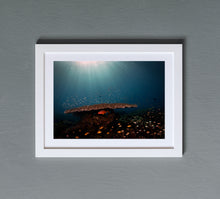 Charger l'image dans la galerie, Taking Cover