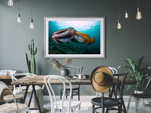 Charger l'image dans la galerie, Torpedo