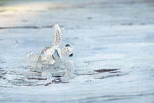 Cargar imagen en el visor de la galería, Turtle Shield Pendant