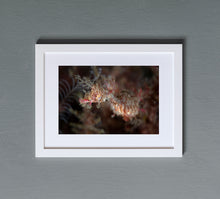 Charger l'image dans la galerie, Unicorn